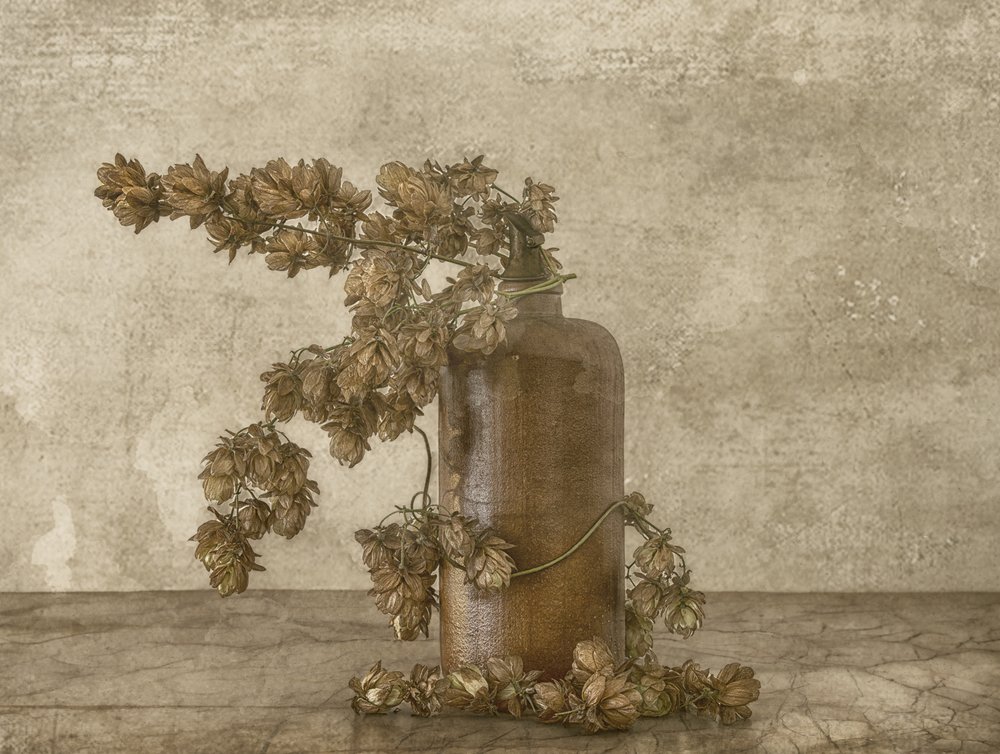 Stilleben med rustika humleblommor av Marie-anne Stas
