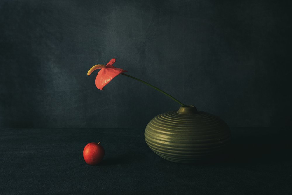 Stilleben med rött anthurium av May G