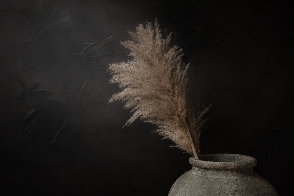 Mörk rustik pampas av Mayra Pama