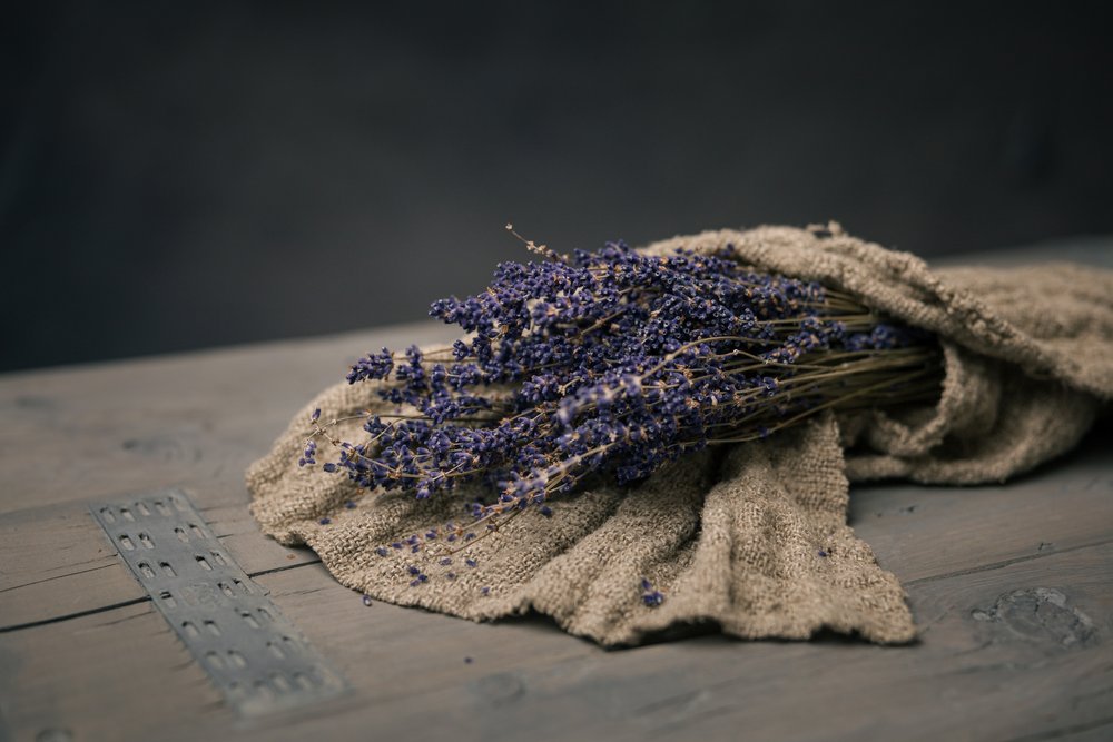Bunt torkad lavendel av Mayra Pama