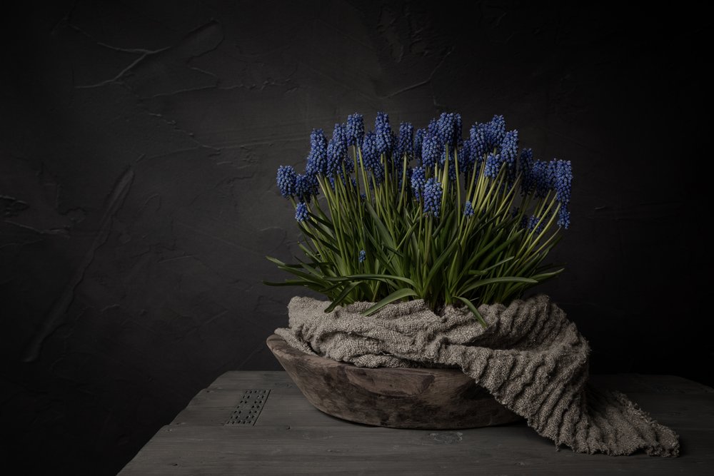Rustika blå blommor av Mayra Pama