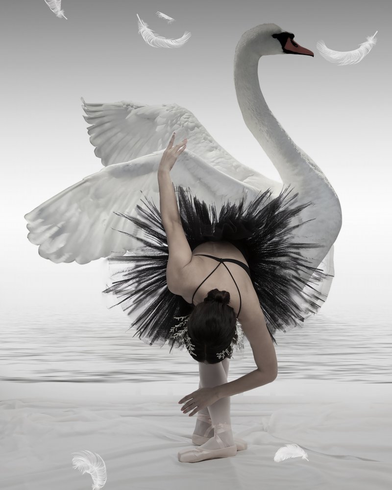 Svart svan-ballerina av Mieke