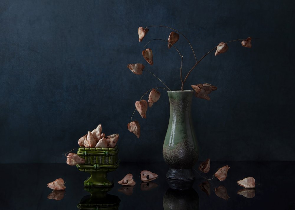 Mörkt botaniskt stilleben av Ming Chen
