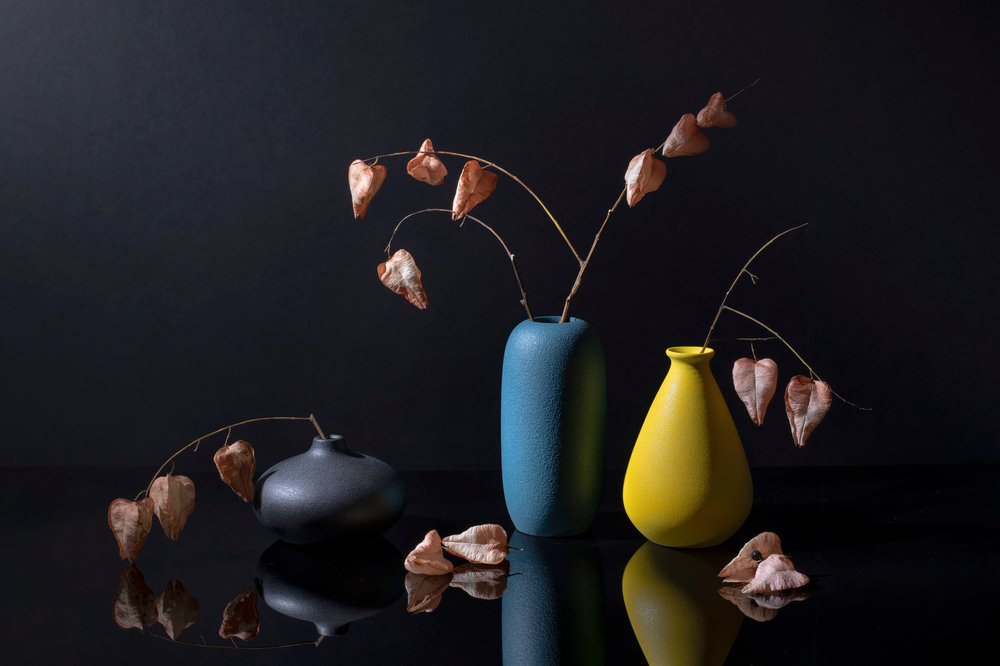 Moderna botaniska vaser av Ming Chen