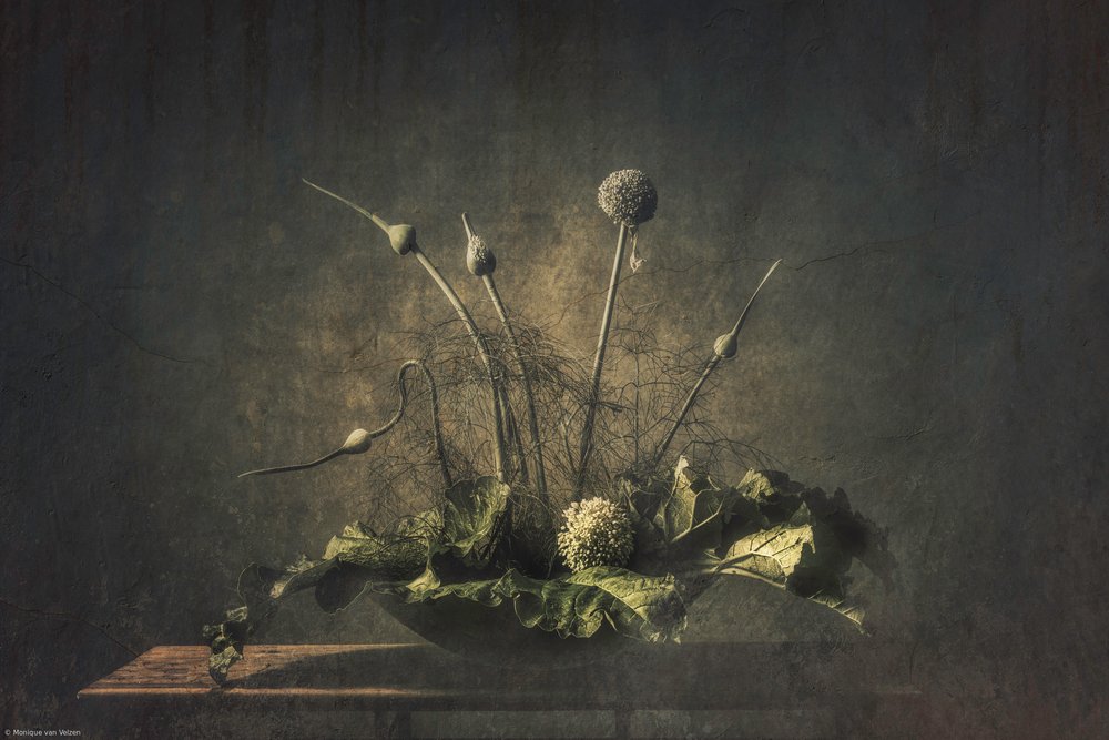 Mörkt botaniskt stilleben av Monique van Velzen