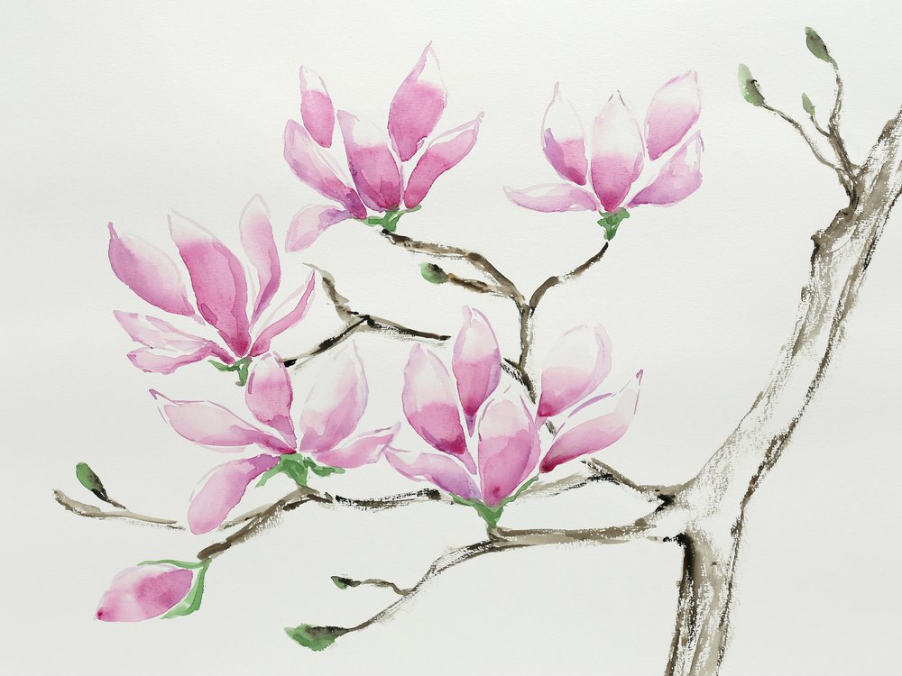 Nådiga rosa magnolior av Natalie Bruns