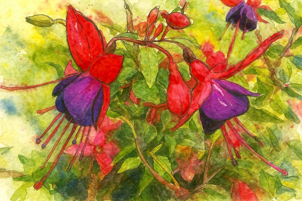 Livfulla fuchsiafärgade blommor av Natalie Bruns