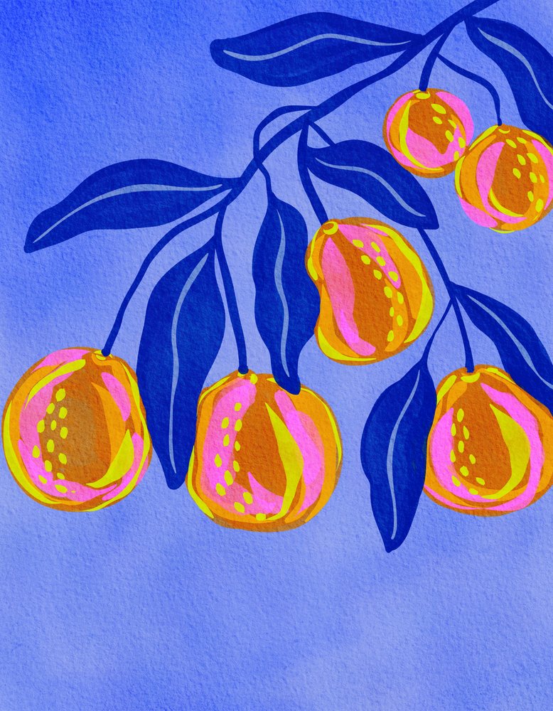 En färgsprakande citruskvist av Nikita Jariwala