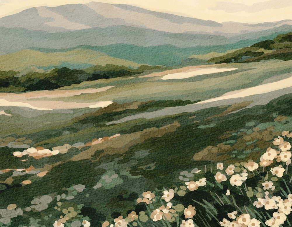 Landskap vid Wildflower Mountain av Nikita Jariwala