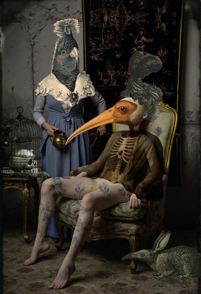 Surrealistiska fågelfigurer av Pascal Bouchet-Spiegel