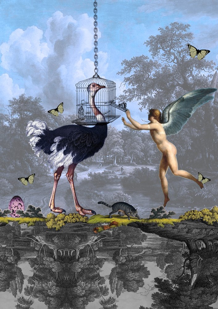 En surrealistisk dröm om en strutsängel av Pascal Bouchet-Spiegel