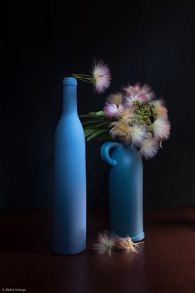 Botaniska blå och rosa toner av Pedro Uranga