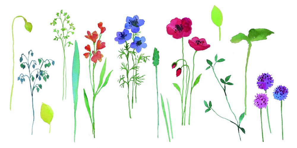 Färgglada blommor i akvarell av Renate Holzner