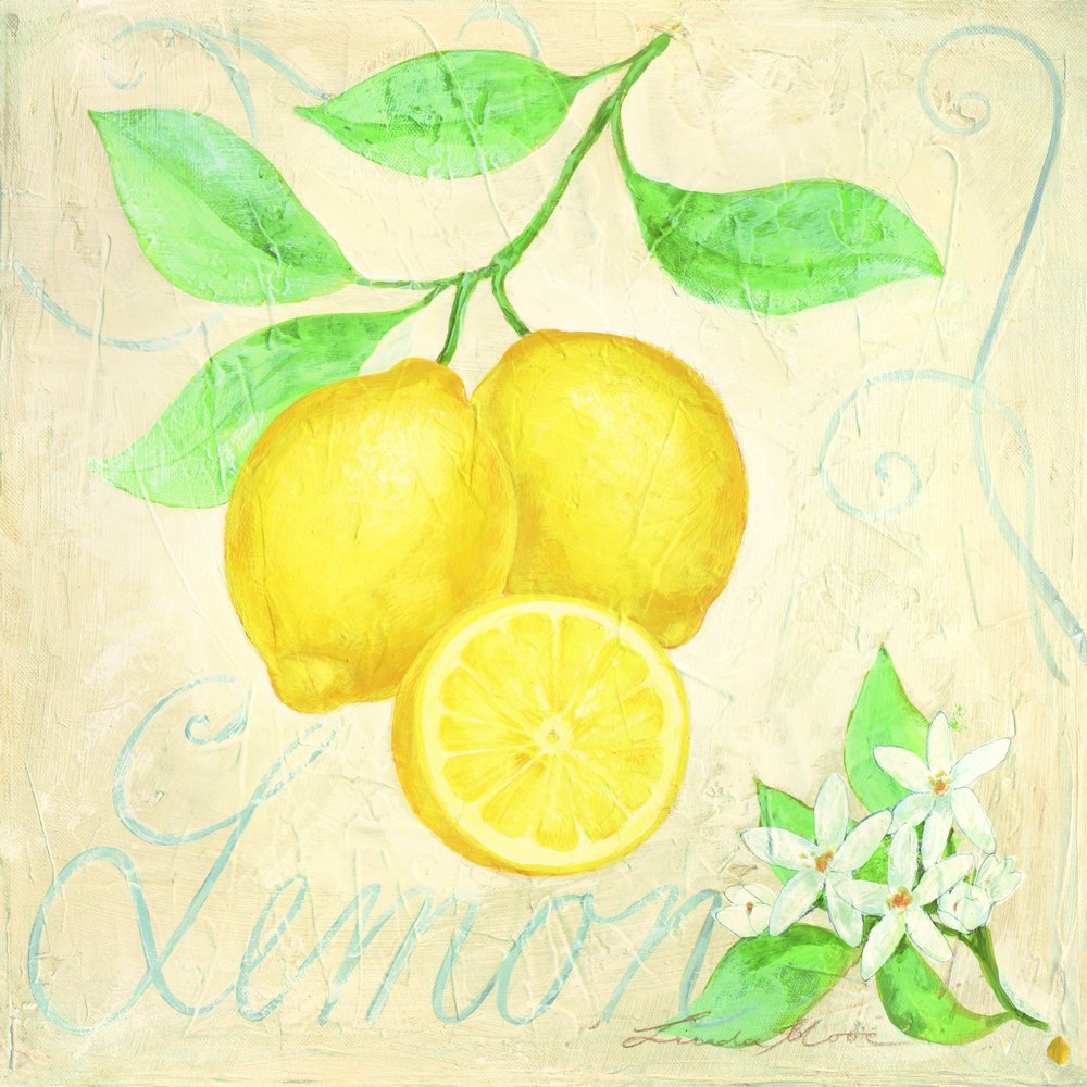 Färska citroner – botaniska av Renate Holzner