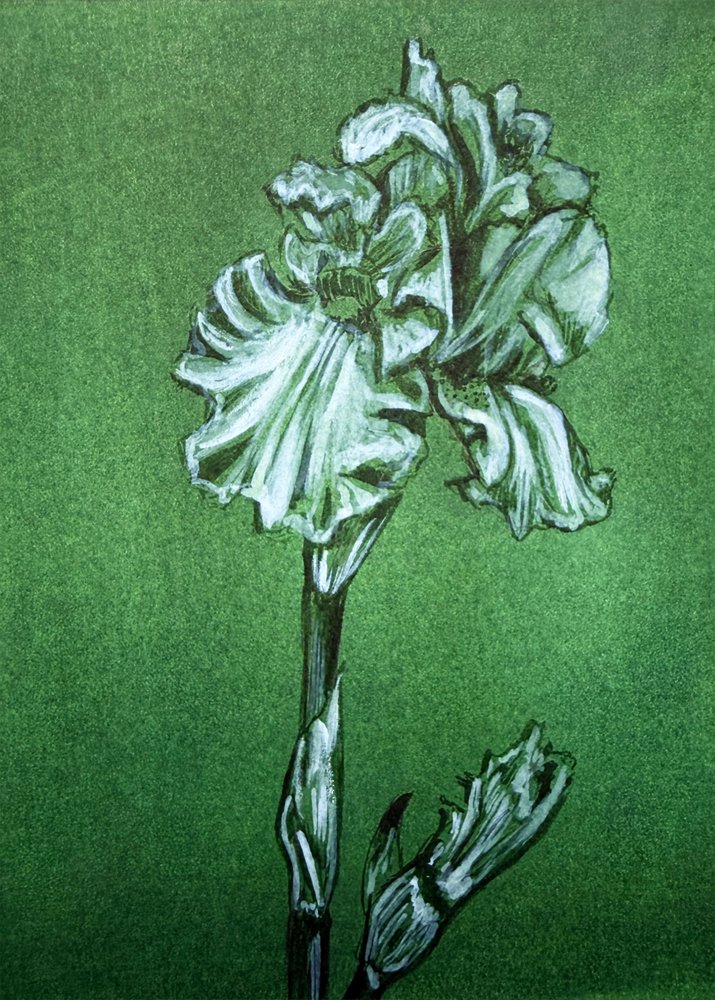Elegant grön iris av Renee Machan Cottagecore Artist