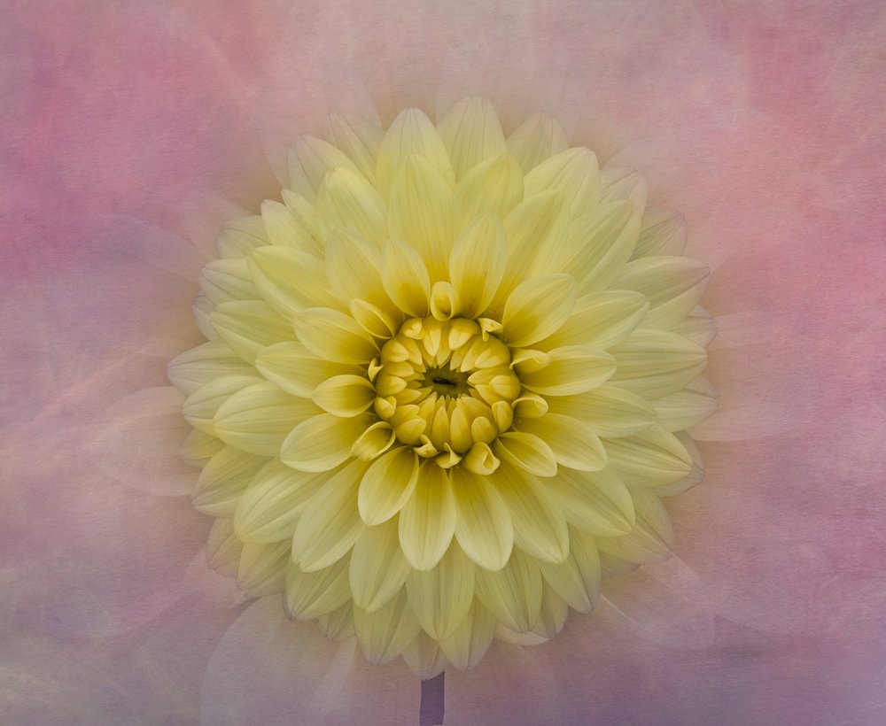  av Richard Urbanski