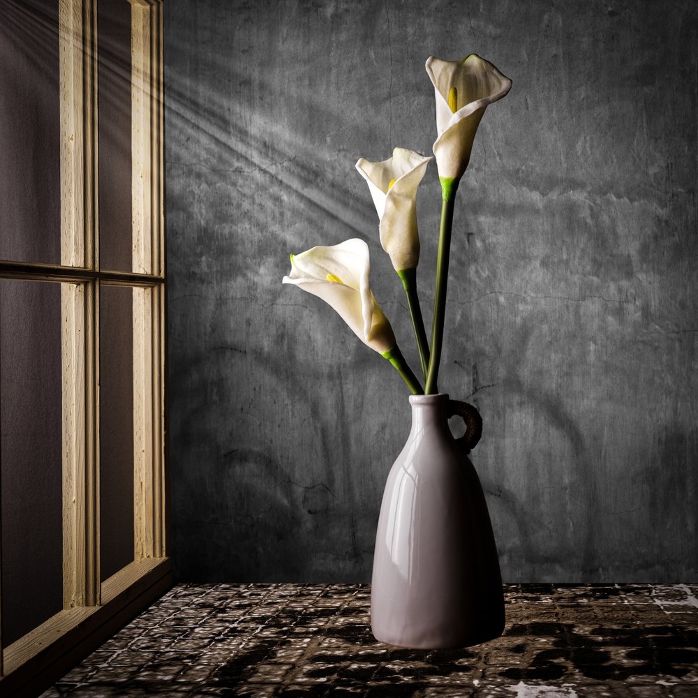 Calla-liljor i solljus av Rob Ryan