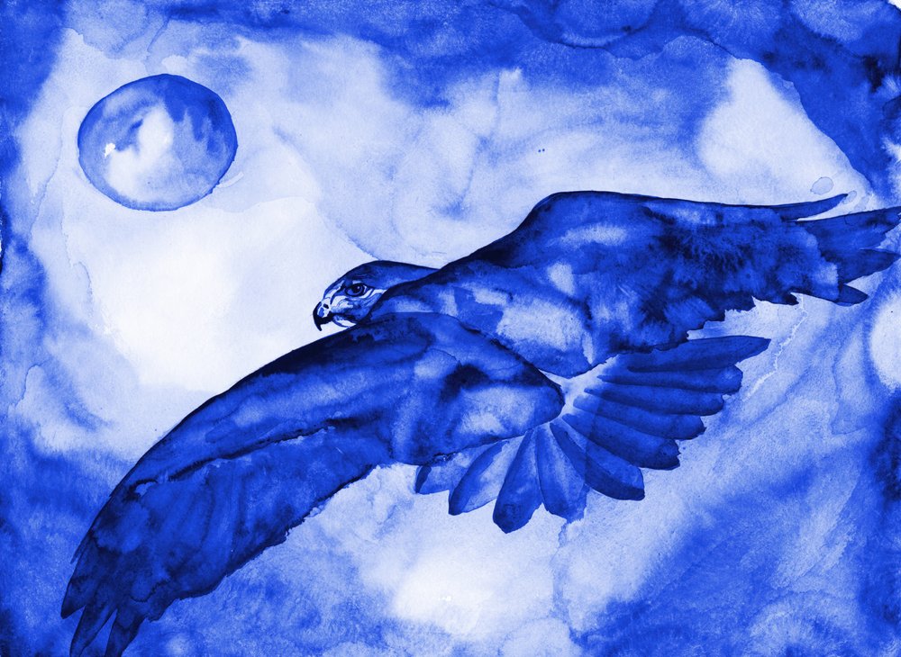 Blue Hawk Moon Flight av RodMacIver