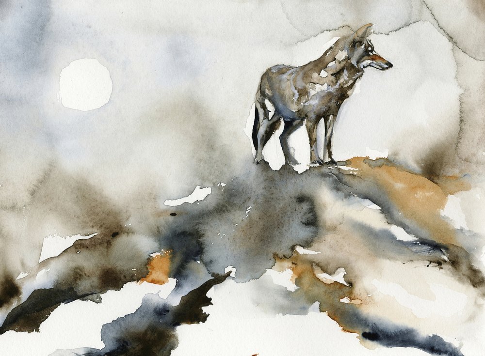 Ensamvargens måne av RodMacIver