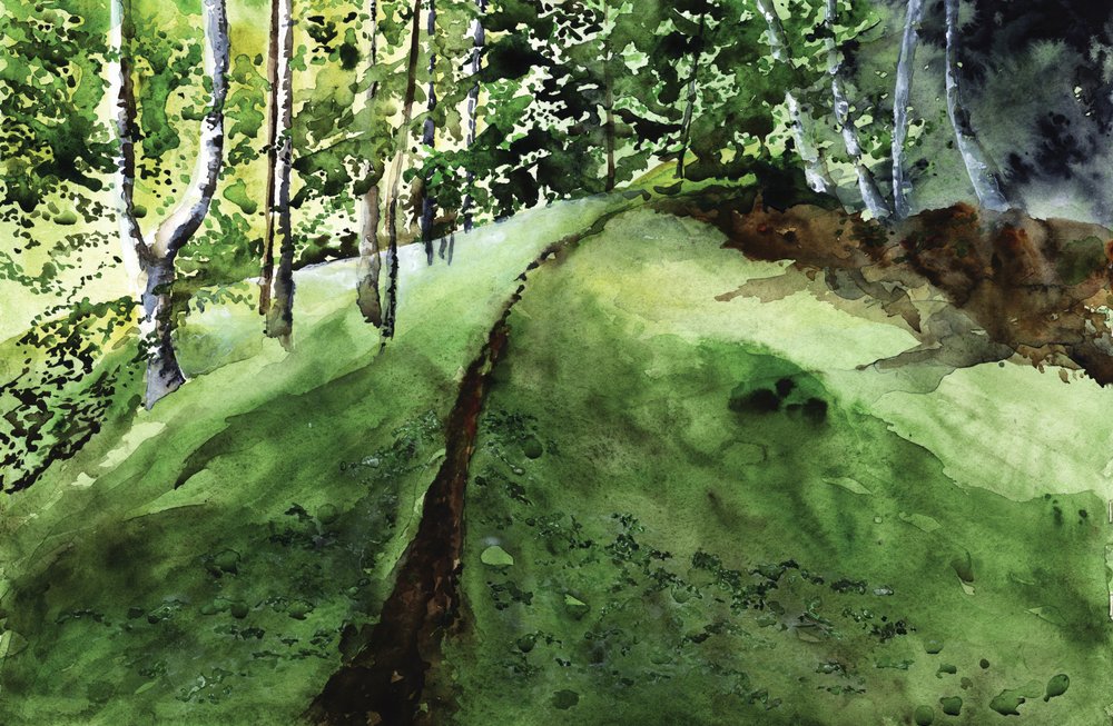 Stig genom den frodiga skogen av RodMacIver