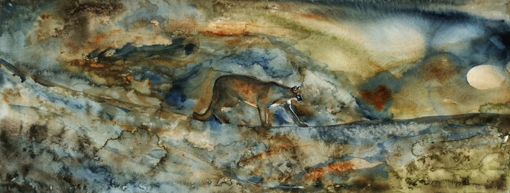 Mountain Lion Passage av RodMacIver