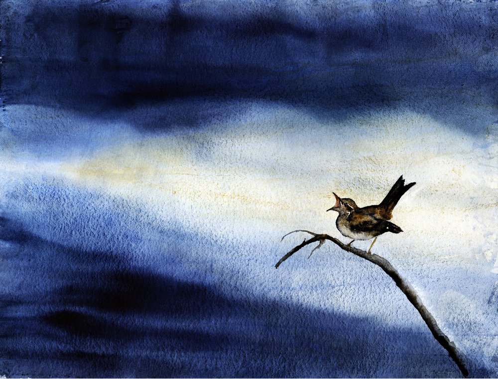 Sjungande fågel – Mörk himmel av RodMacIver