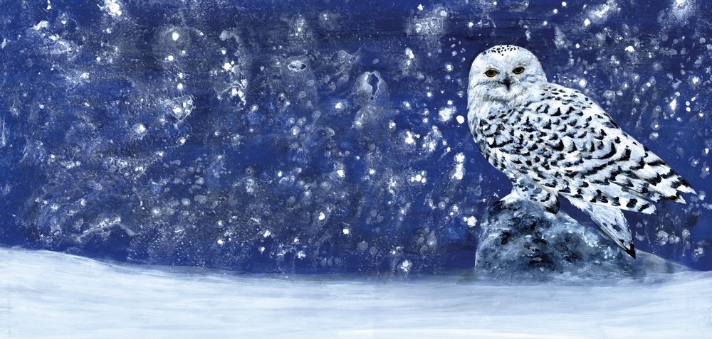 Snöig kväll 60 x 28 av RodMacIver