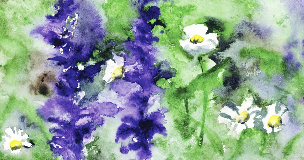 Färgglada trädgårdsblommor av RodMacIver