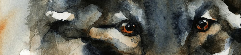Vilda vargögon av RodMacIver
