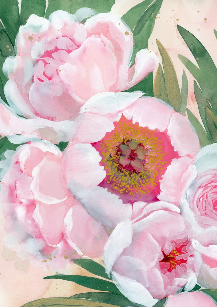 Rosa pionblommor av Rosana Laiz Blursbyai