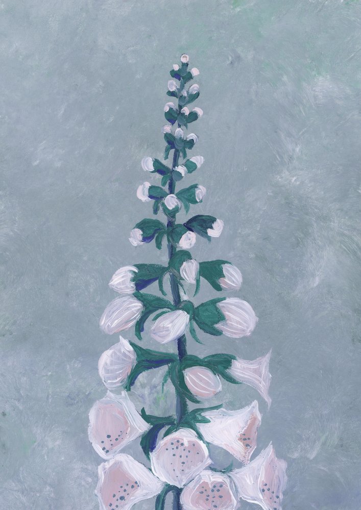 Vit fingerborgsblomma av Rosana Laiz Blursbyai