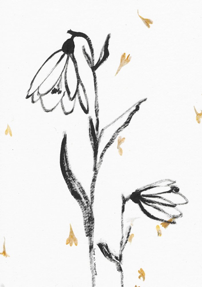 Skir blomsterskiss av Santhosh ch