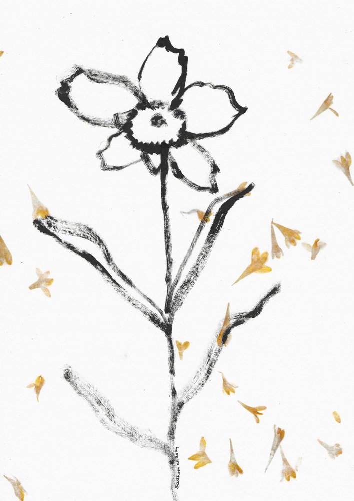 Skir blomsterskiss av Santhosh ch