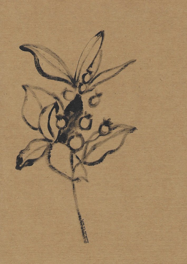 Botanisk illustration i jordnära toner av Santhosh ch