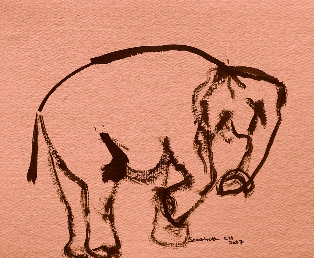Bläckskiss av en elefant av Santhosh ch