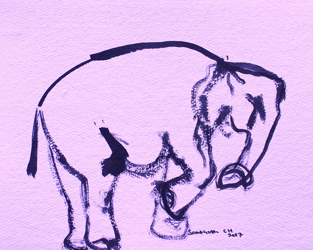 Mild elefant i bläck av Santhosh ch