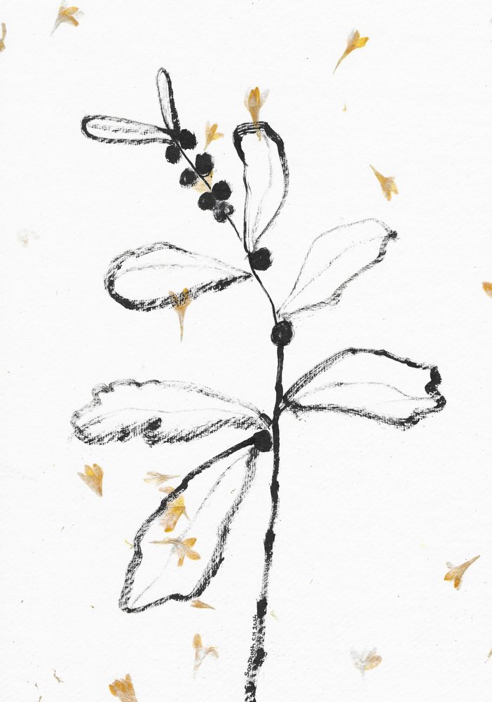 Minimalistisk botanisk skiss av Santhosh ch