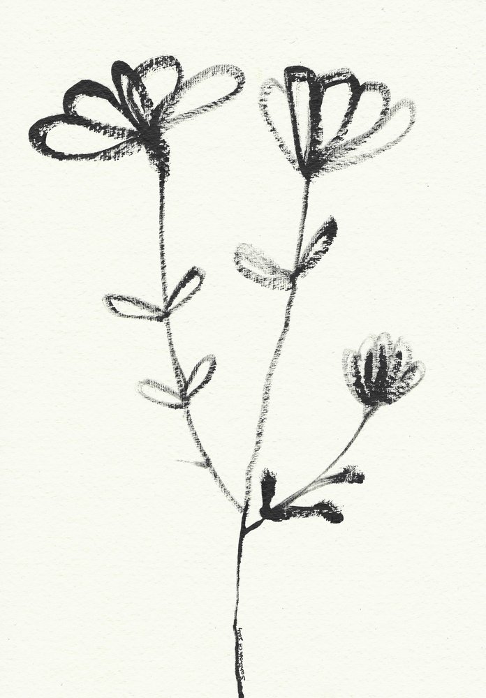 Minimalistisk blomsterskiss av Santhosh ch