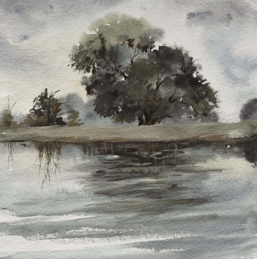 Reflektioner vid Misty Tree av Santhosh ch