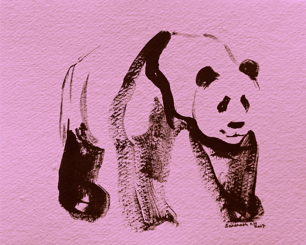 Penseldrag av en rosa panda av Santhosh ch