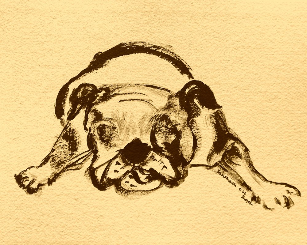 Lekfull bulldoggskiss av Santhosh ch
