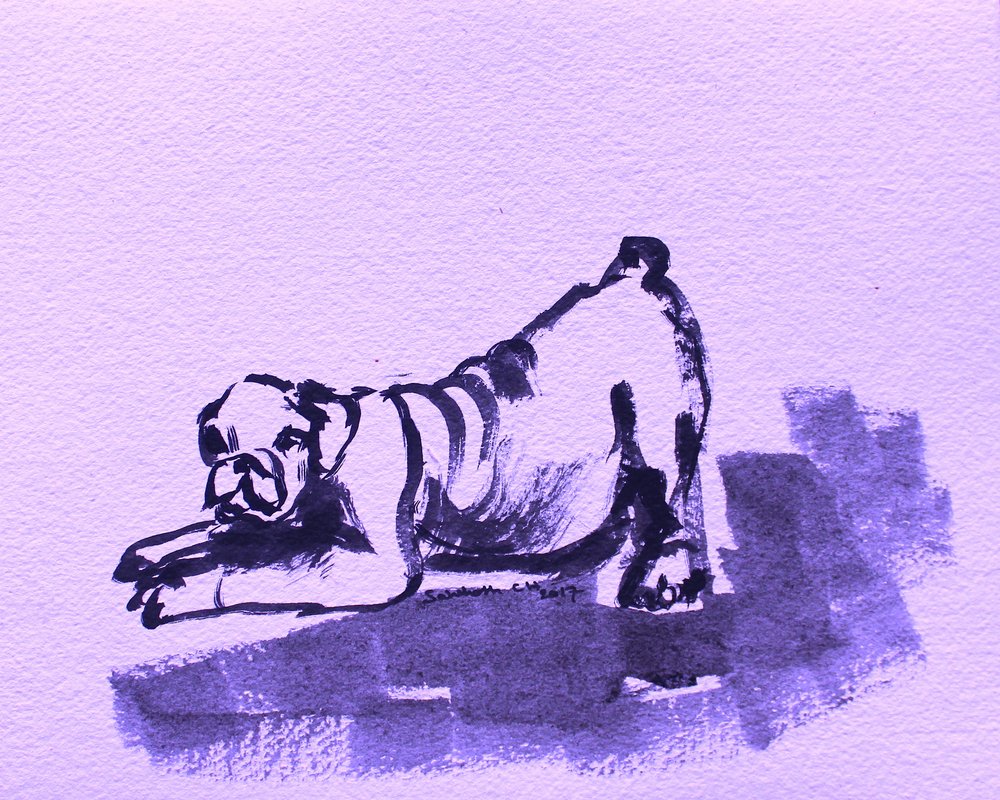 Lekfull bulldoggsträckning av Santhosh ch