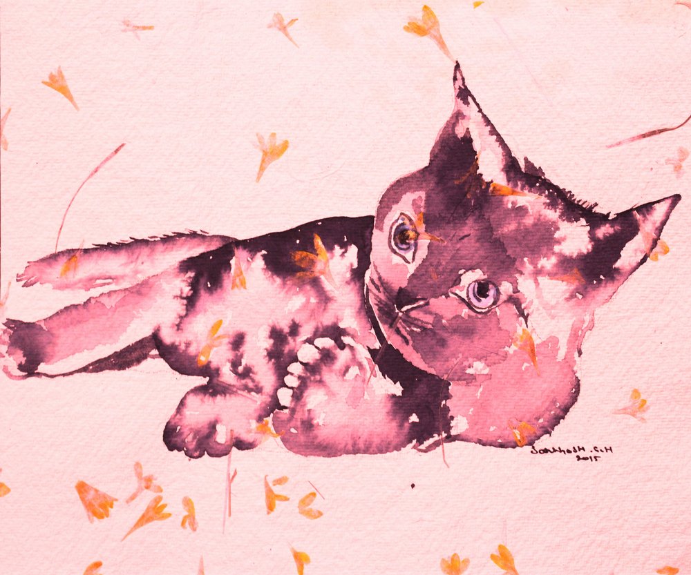 Lekfull rosa kattunge av Santhosh ch
