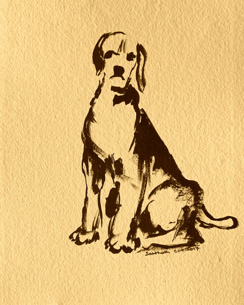Skiss av en sittande beagle av Santhosh ch