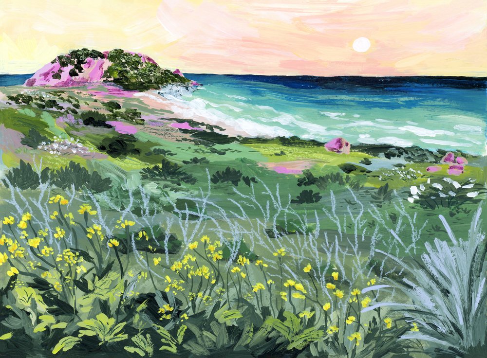 Solnedgång vid Wild Coast av Sarah Gesek