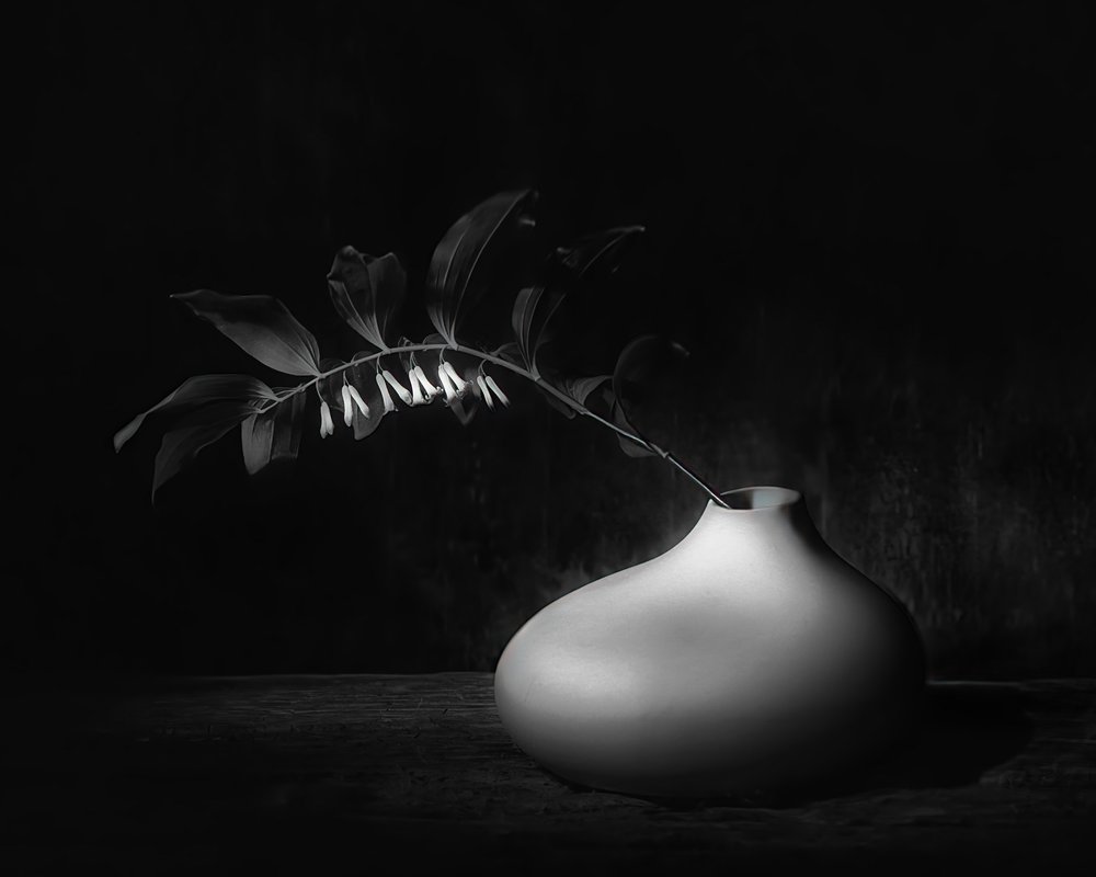 Mörkt botaniskt stilleben av Saskia Dingemans