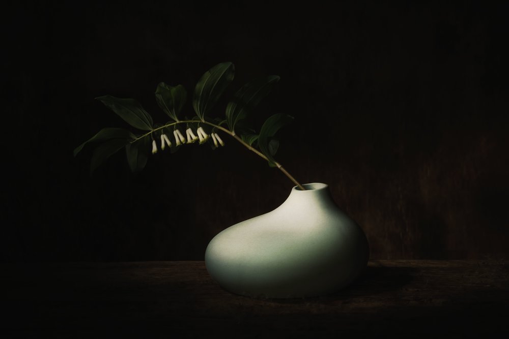 Skört mörkt blomsterstilleben av Saskia Dingemans