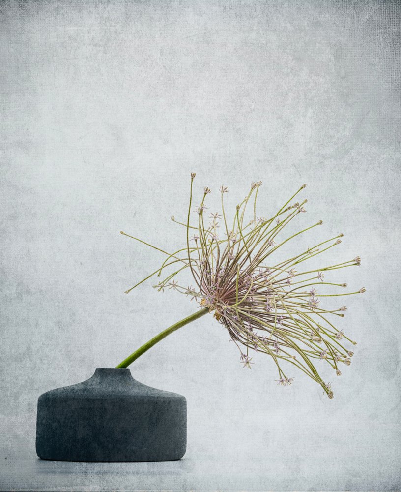 Fint botaniskt stilleben av Saskia Dingemans