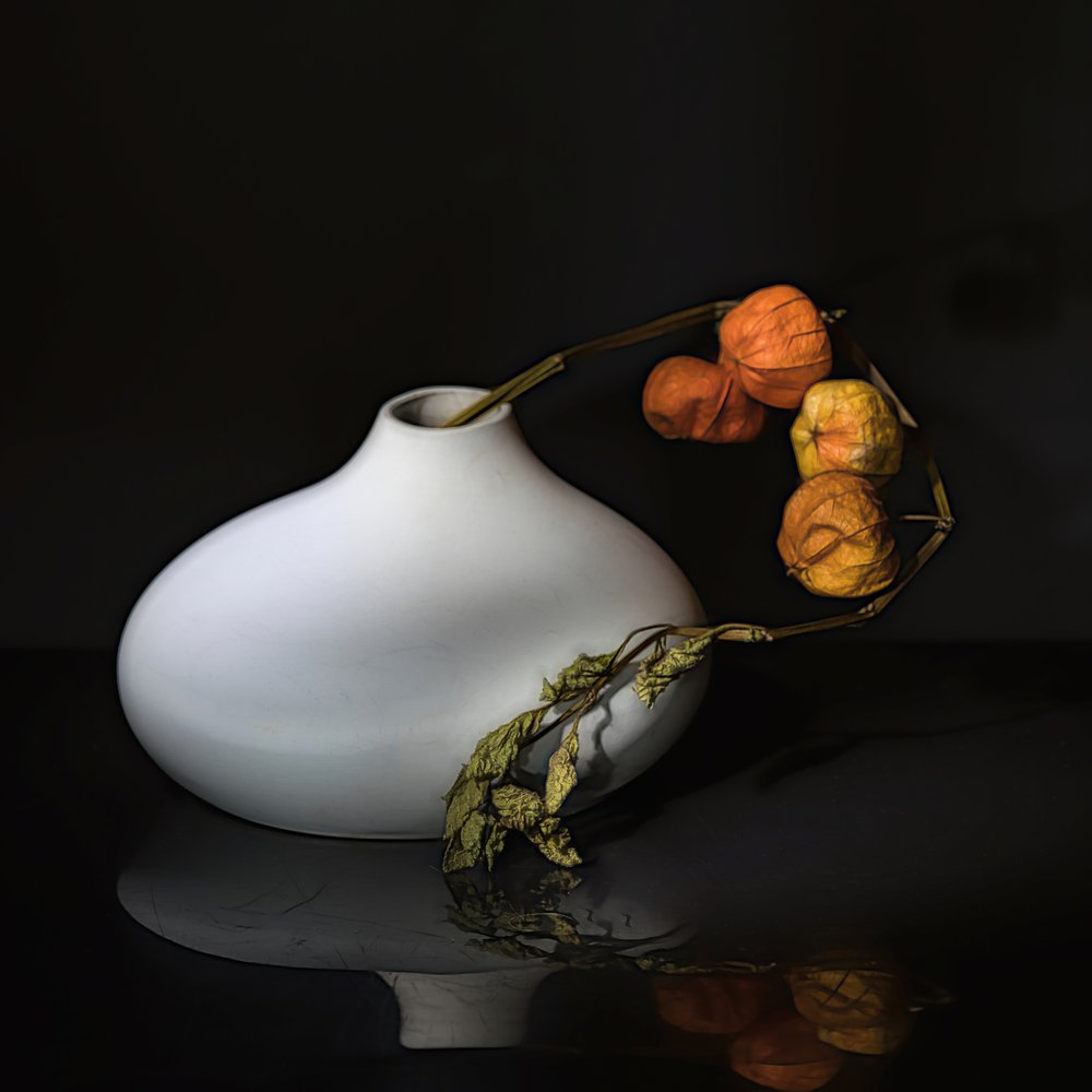 Elegant stilleben med physalis av Saskia Dingemans