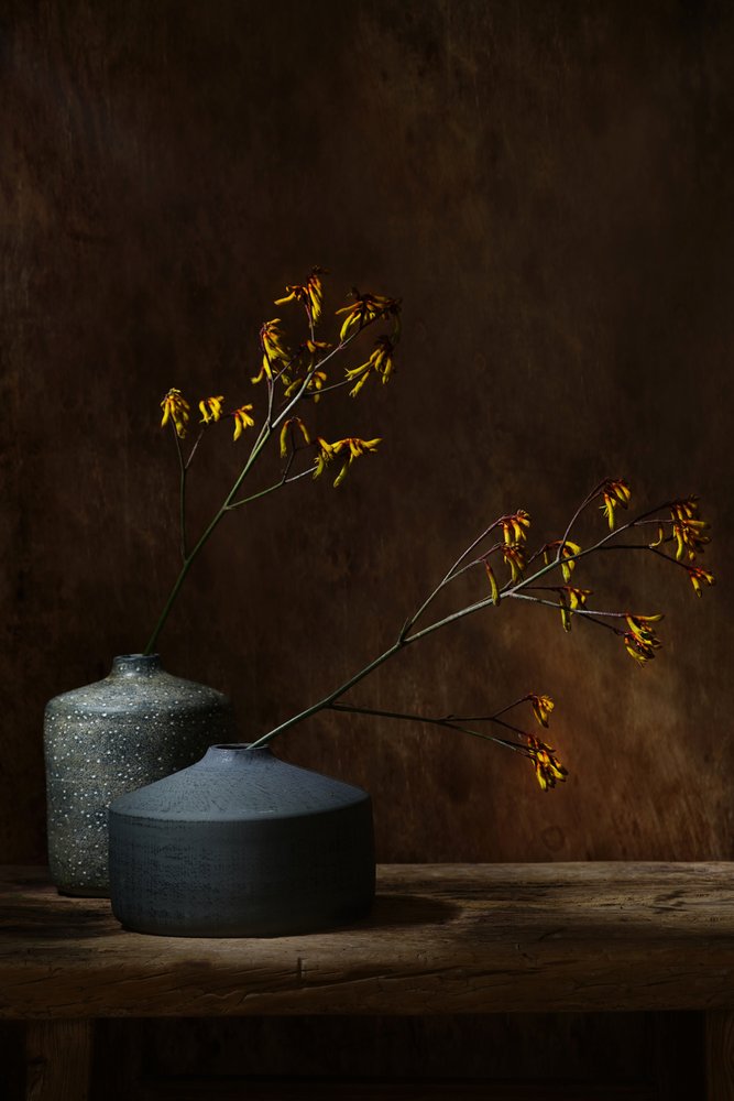 Vackra botaniska vaser av Saskia Dingemans